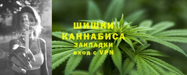 СК Осинники