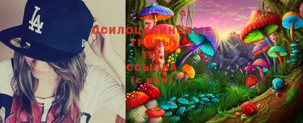 прущая мука Алзамай