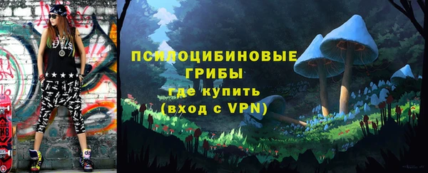 гашик Алексеевка
