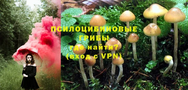 прущая мука Алзамай